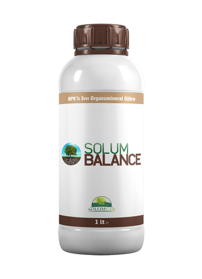 Solum Balance